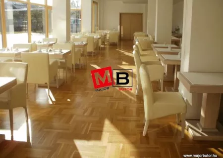 majorbutor referencia 45